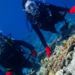 オープンウォーター取得