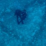 気づいたらエイプリル。。