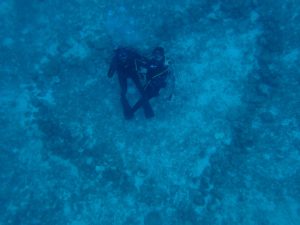 気づいたらエイプリル。。