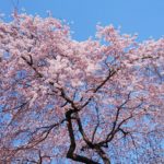 ２年ぶりの仙台里帰り