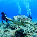 オープンウォーター取得