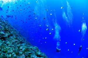 渡名喜ナカルマ