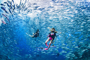 2025年粟国遠征日決定！