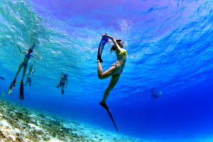 ティンカーベル