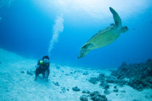 ファンダイビング