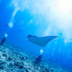 慶良間ドリフトDay