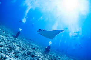 慶良間ドリフトDay