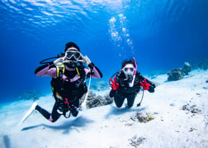 見てこの綺麗さ