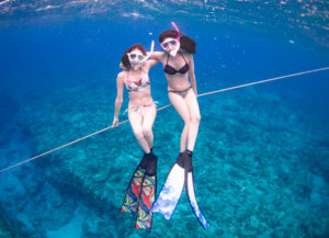 ロングフィン映え