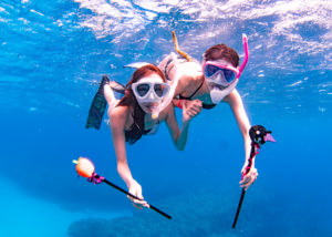 ハロウィンスキン