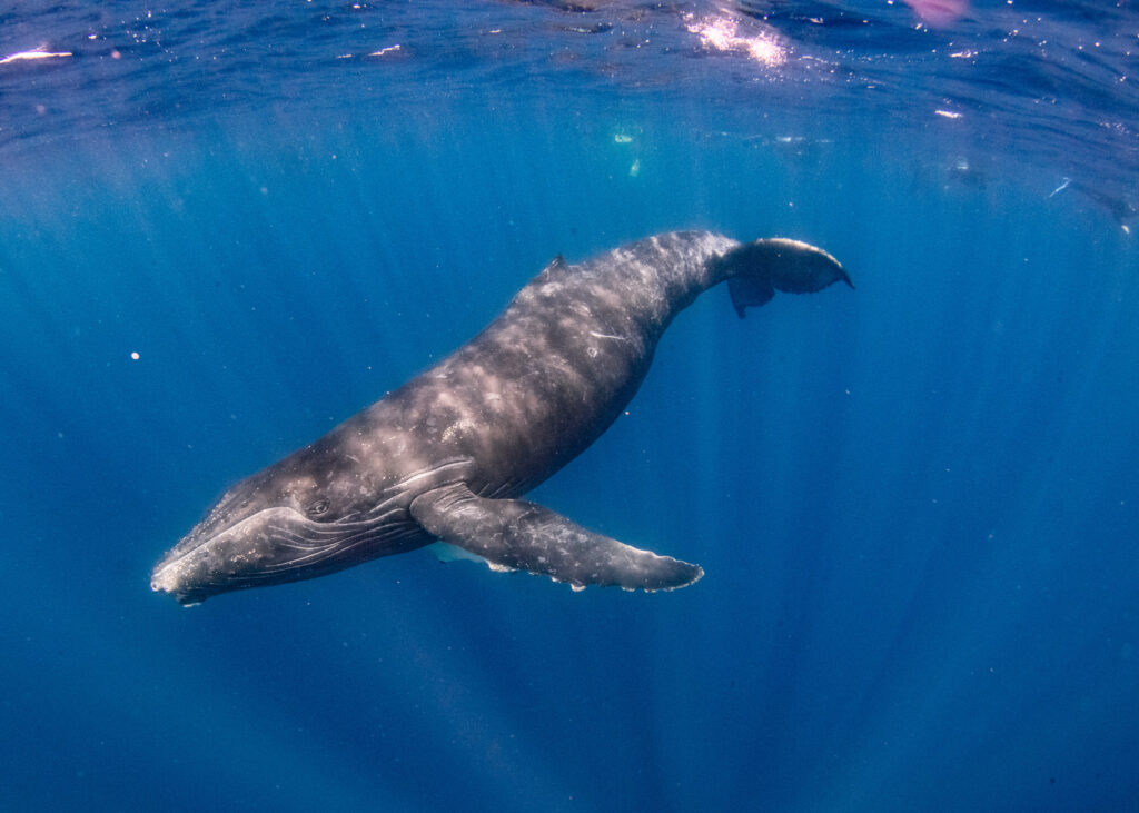 近くでバッチリ見れました(^^♪