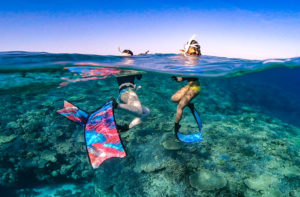 半水面撮影も得意