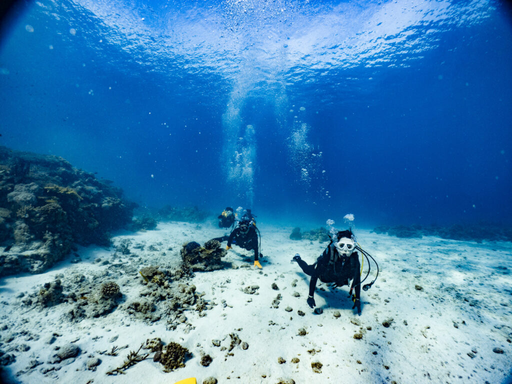 2日目は超絶綺麗な透明度のケラマで