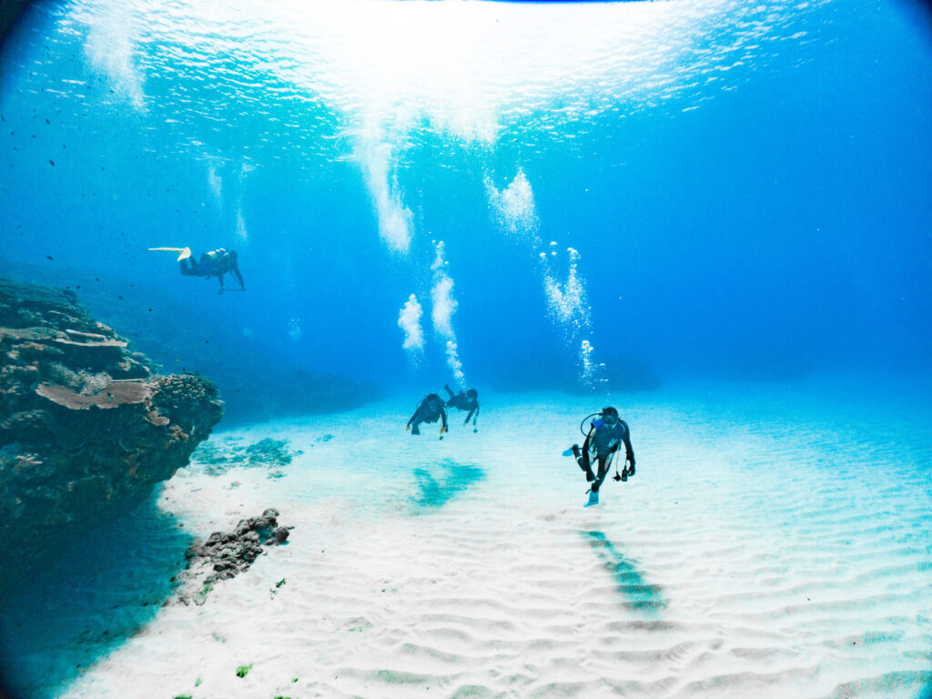 ２本目にはだいぶ慣れてきましたね