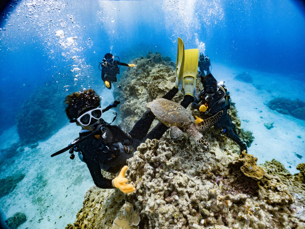 全然人を気にしないカメでカメの方から大接近