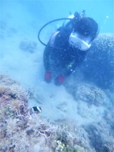 オープンウォーター取得