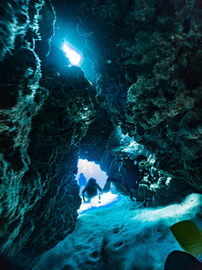 オプションのファンダイブにもご参加いただき洞窟ダイビング