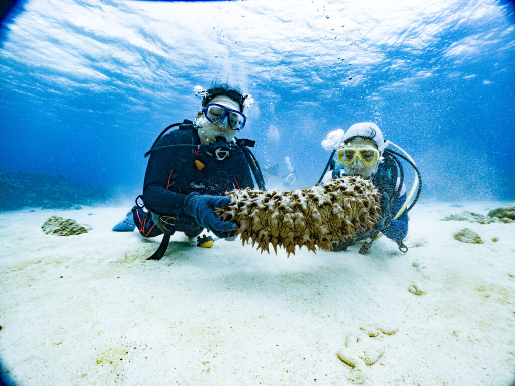 2日目はボートダイビングでの講習
綺麗さがビーチとは雲泥の差