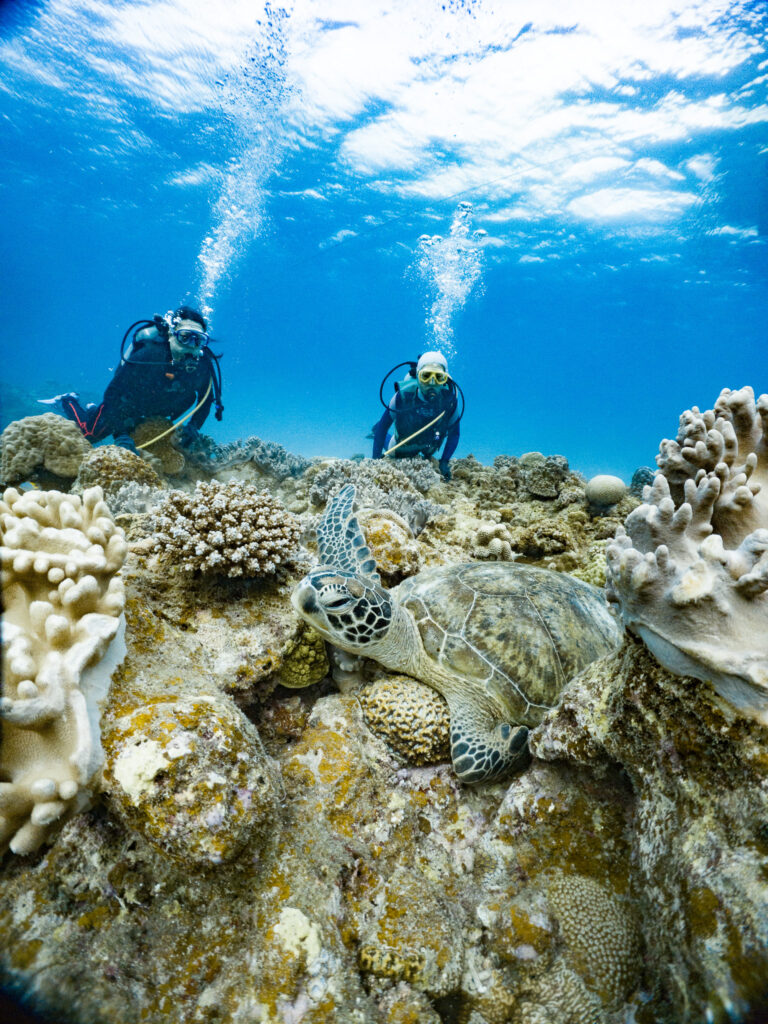 オプションのファンダイブにもご参加いただきカメと記念撮影や洞窟に入ったりしました