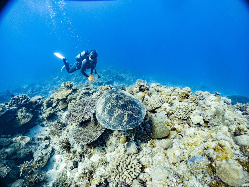 ドリフト講習では流されながらカメさんこんにちわ