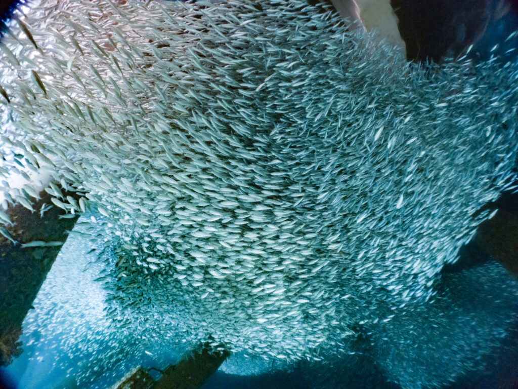 相変わらずミジュンまみれ