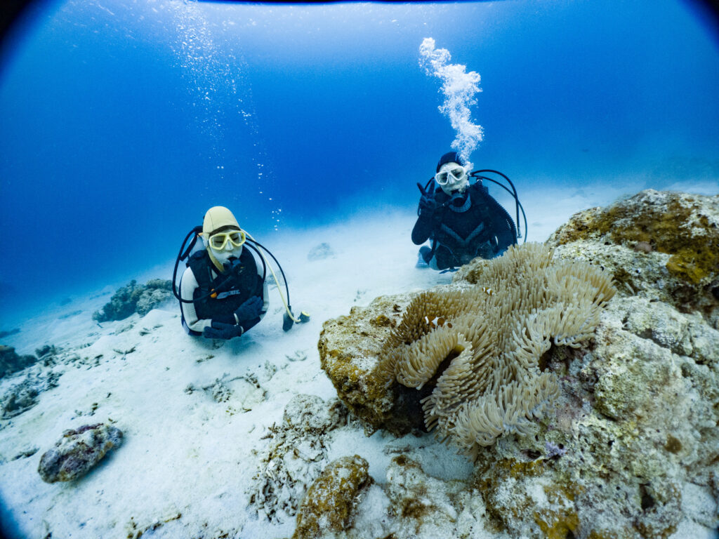 2日目はケラマ諸島で抜群の透明度の中での講習