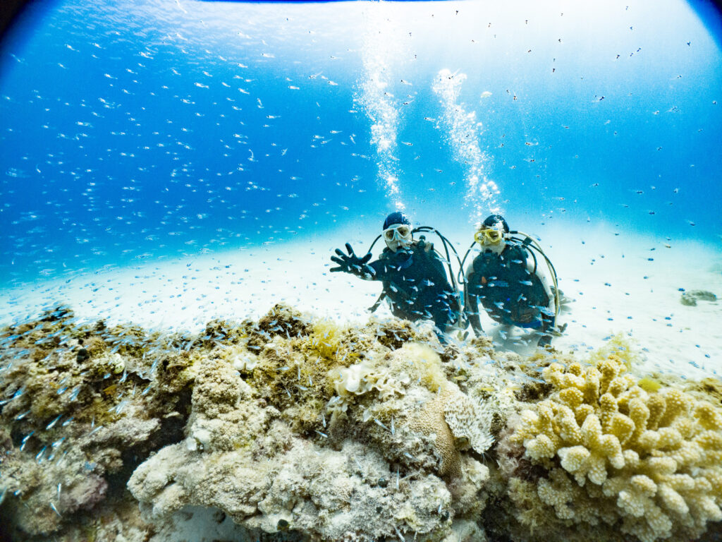 無事ライセンスもＧｅｔ