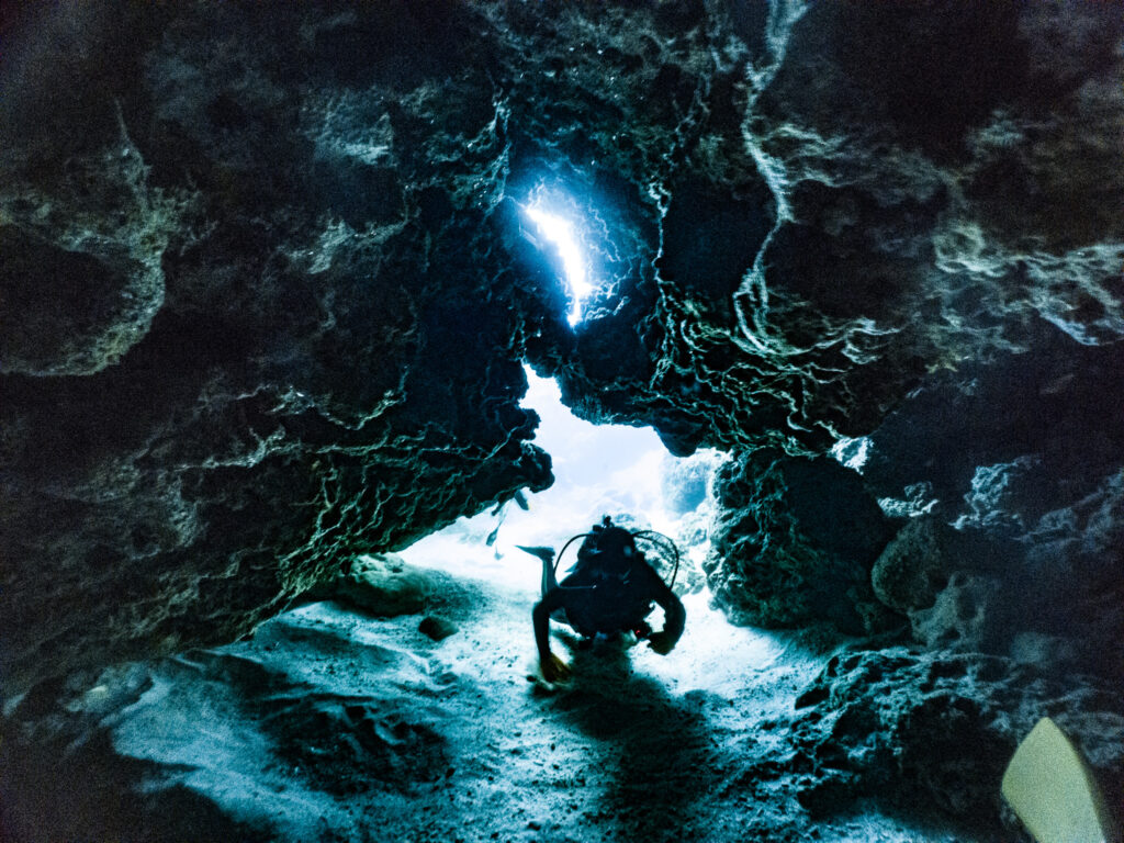 ファンダイブで洞窟Diveも