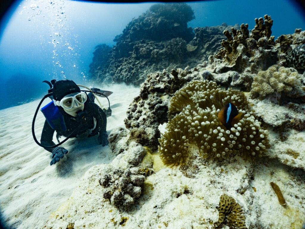 講習2日目はケラマへ。透明度が全然違うね
