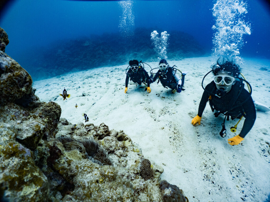 潜るたびに上達していく講習生。
無事ライセンスGetして…