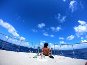 オープンウォーター取得