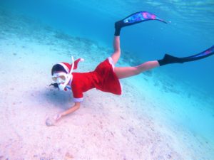 ビーチスキンダイブ