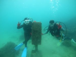 初ライセンス講習