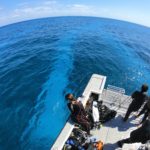 ファンダイビング