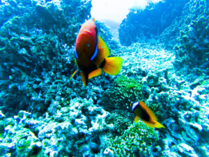 夏が始まった合図がした。。🌈
