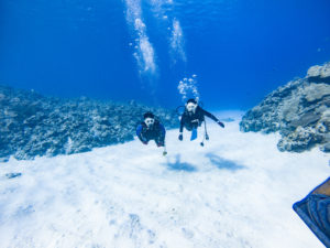 アドバンス取得