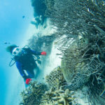 アドバンス取得