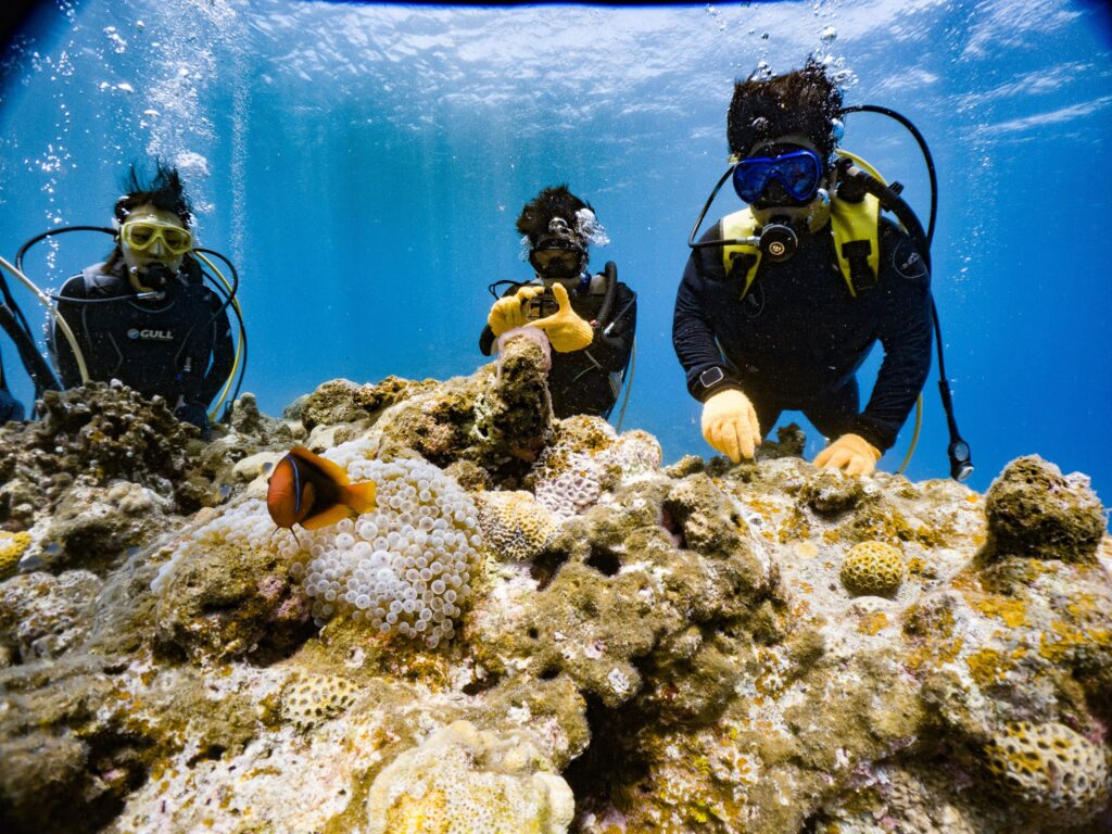2日目はケラマで超絶綺麗な海での実習です