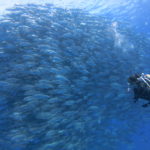 2026年粟国遠征日程決定！