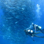 2018年粟国ツアー開始！