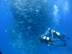2018年粟国ツアー開始！