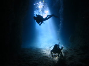 差し込む光が綺麗