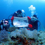 2019年初ライセンス認定