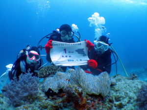 2019年初ライセンス認定