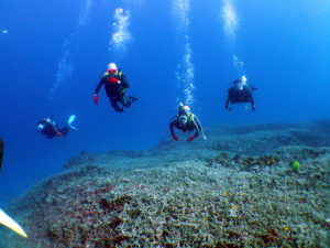 子供の成長ってスゲエ