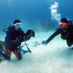 オープンウォーター取得