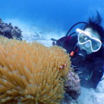 オープンウォーター講習２日目