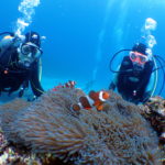 オープンウォーター取得