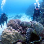 オープンウォーター講習２日目