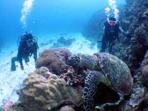 オープンウォーター講習２日目